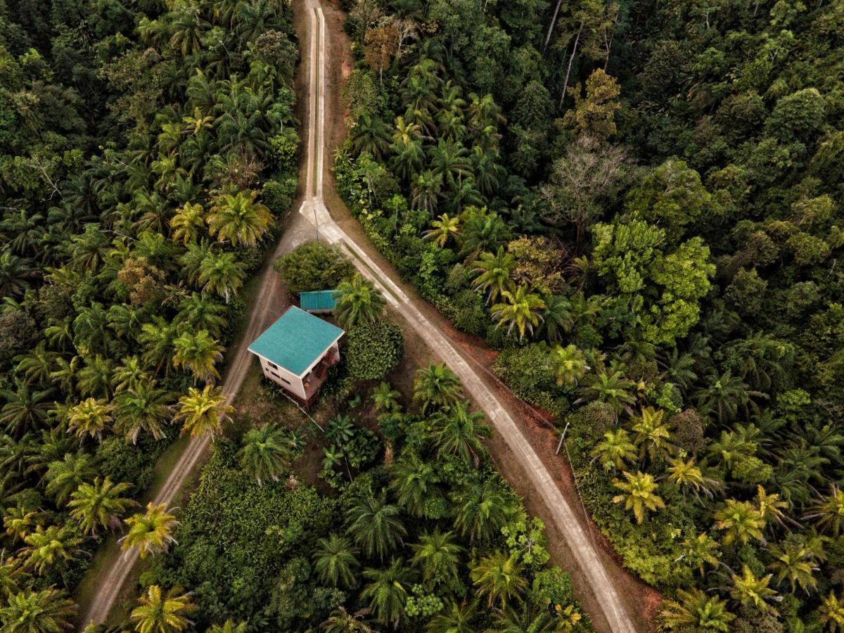 Corcovado Private Villas - Corcovado Private Reserve Puerto Jiménez Exteriör bild