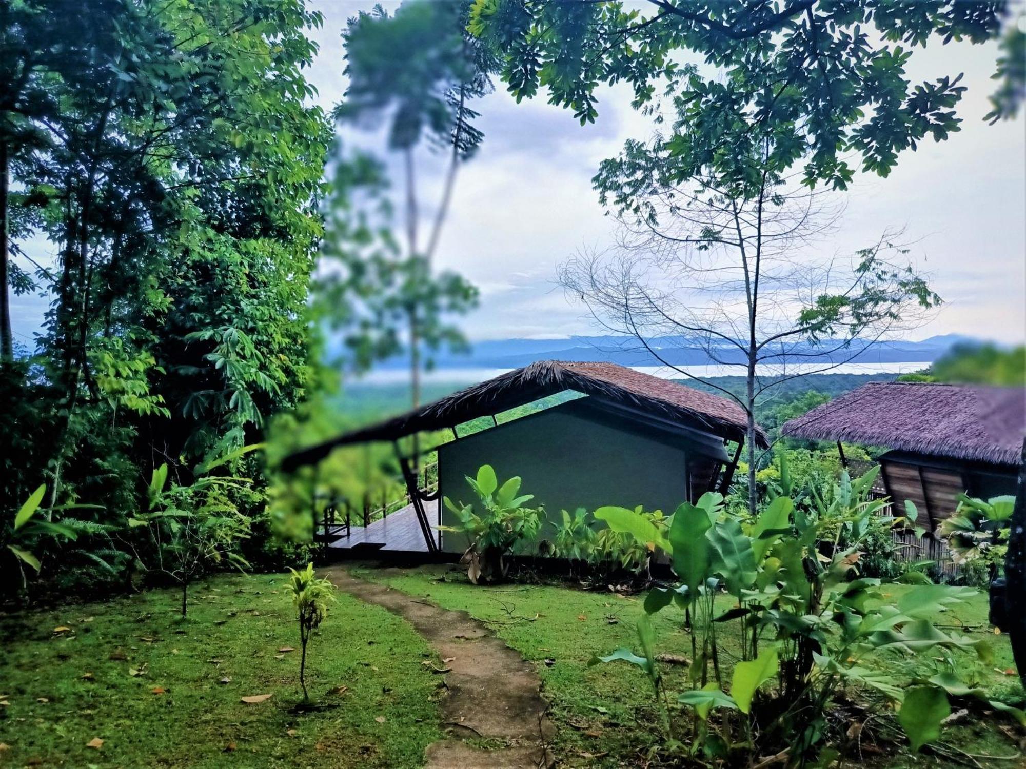 Corcovado Private Villas - Corcovado Private Reserve Puerto Jiménez Exteriör bild