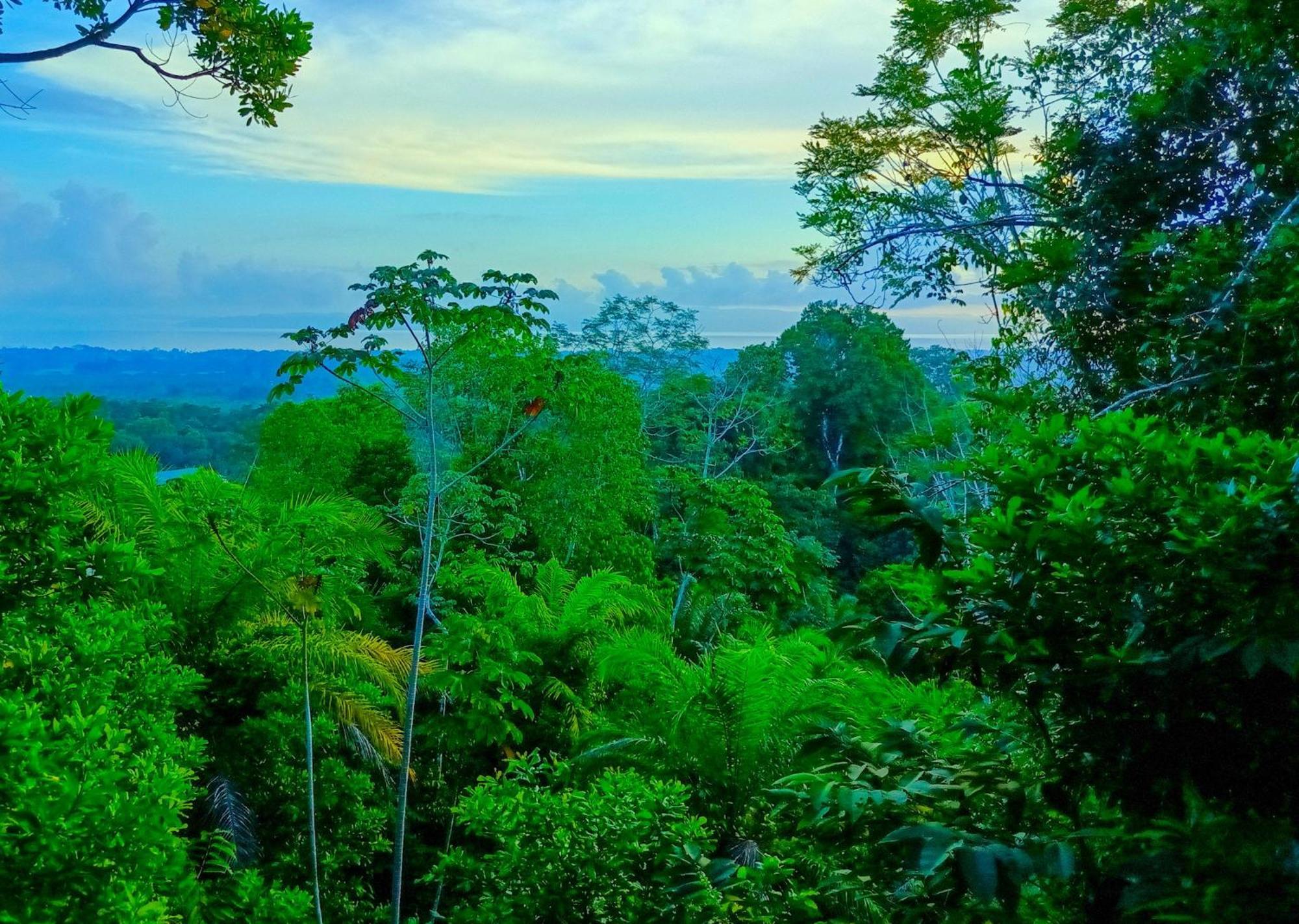 Corcovado Private Villas - Corcovado Private Reserve Puerto Jiménez Exteriör bild